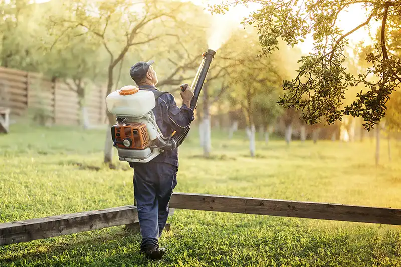 Lawn Fertilization in Clearwater, FL