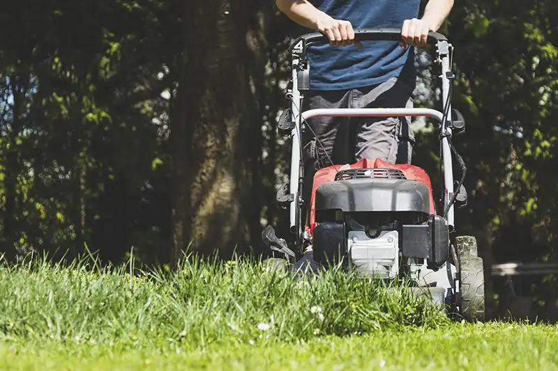 Lawn mowing Clearwater, FL