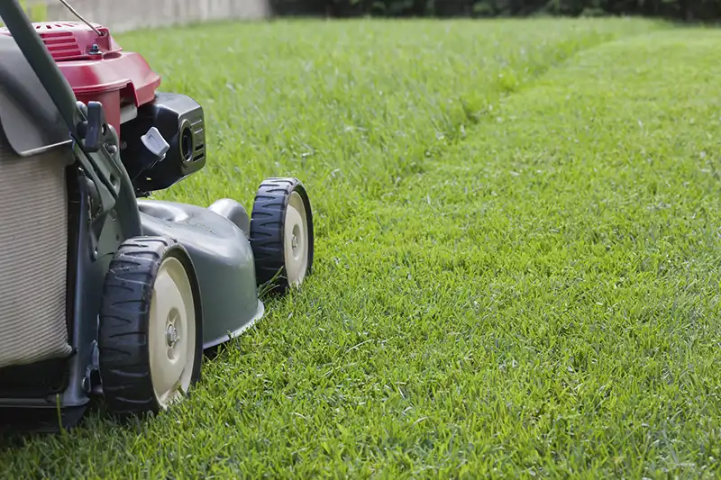 Lawn mowing in Clearwater, FL