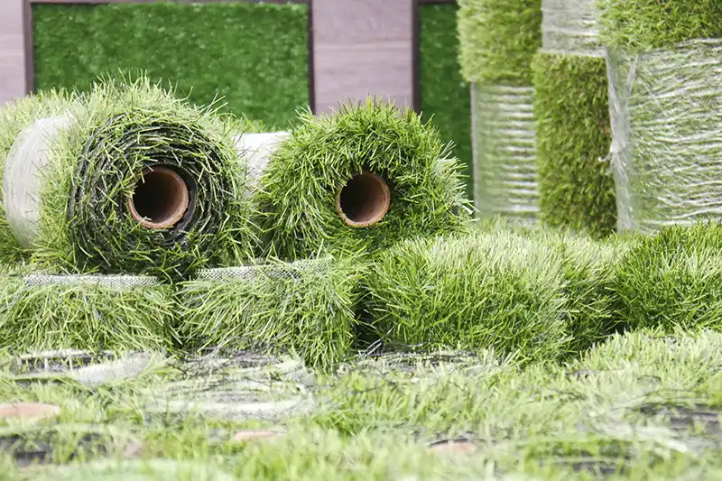 Sod Installation Clearwater, FL