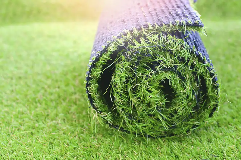 Sod Installation in Clearwater, FL